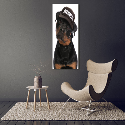 Foto leinwand vertikales Rottweiler mit Mütze