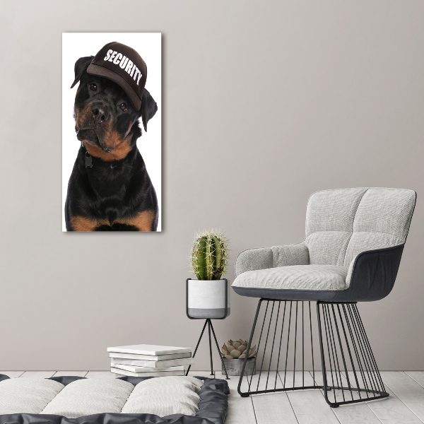 Foto leinwand vertikales Rottweiler mit Mütze