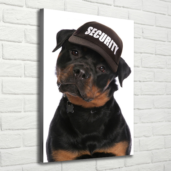 Foto leinwand vertikales Rottweiler mit Mütze
