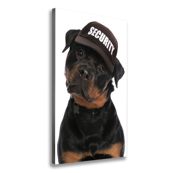 Foto leinwand vertikales Rottweiler mit Mütze