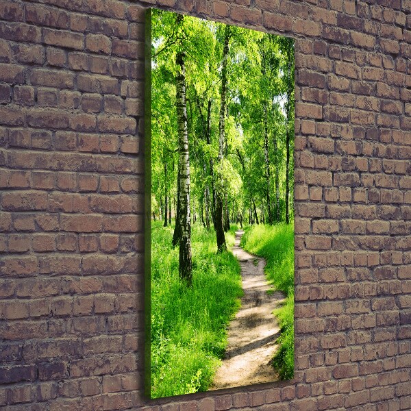 Foto auf leinwand vertikales Birkenwald