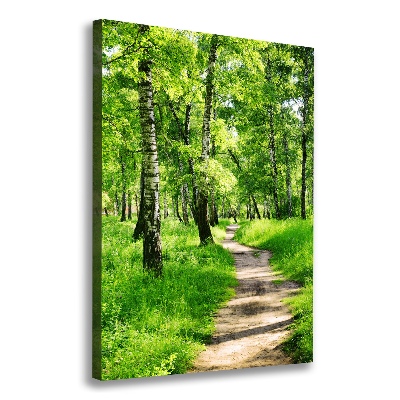 Foto auf leinwand vertikales Birkenwald