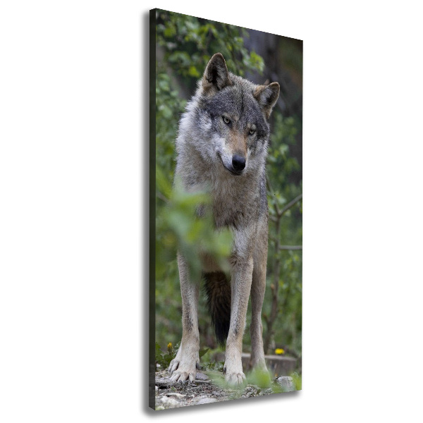 Wandbild vertikales Wolf im Wald