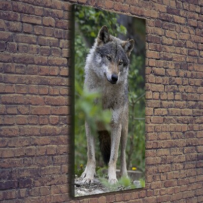 Wandbild vertikales Wolf im Wald
