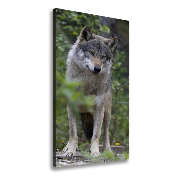 Wandbild vertikales Wolf im Wald