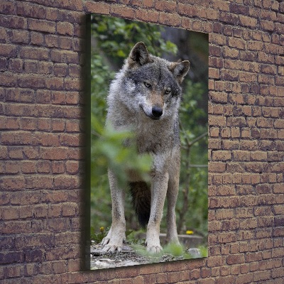 Wandbild vertikales Wolf im Wald