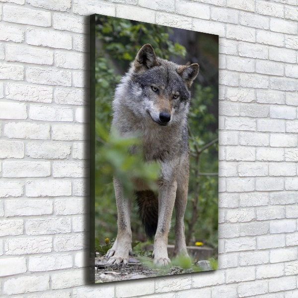 Wandbild vertikales Wolf im Wald