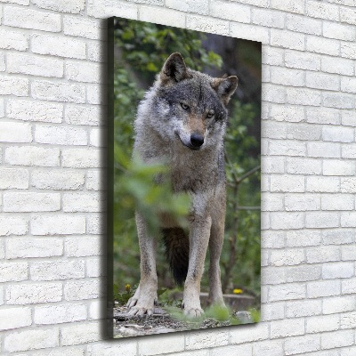Wandbild vertikales Wolf im Wald