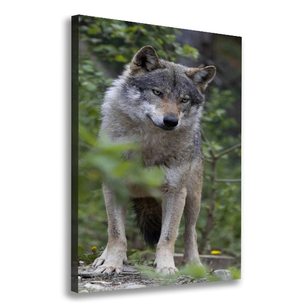 Wandbild vertikales Wolf im Wald