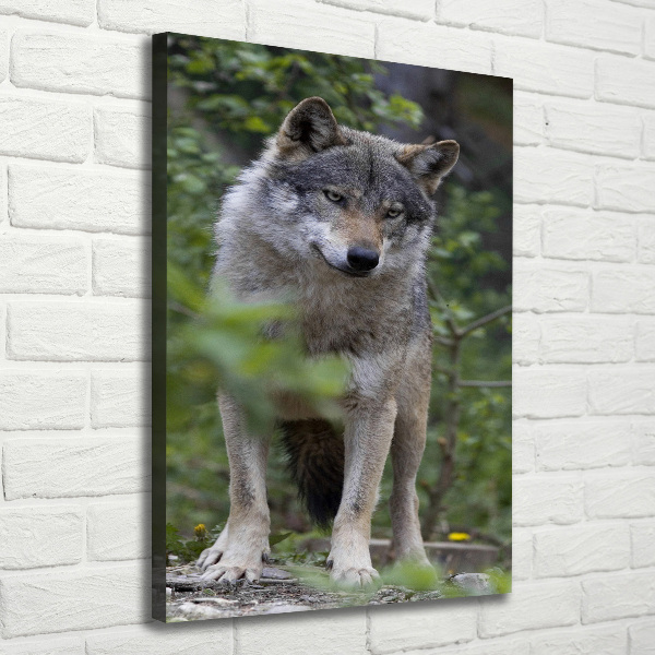 Wandbild vertikales Wolf im Wald