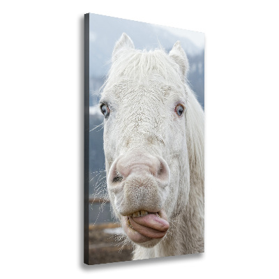 Foto leinwand vertikales Verrücktes weißes Pferd