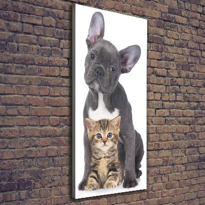 Foto auf leinwand vertikales Hund und Katze
