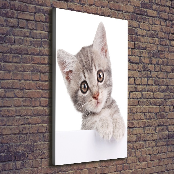 Wandbild vertikales Graue Katze