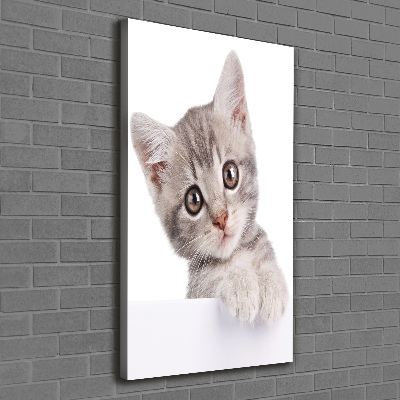 Wandbild vertikales Graue Katze