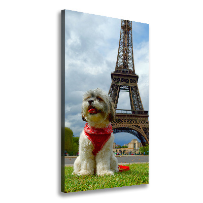 Foto leinwand vertikales Ein Hund in Paris