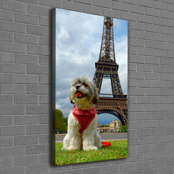 Foto leinwand vertikales Ein Hund in Paris