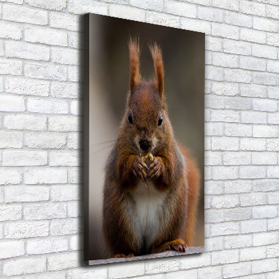 Foto leinwand vertikales Eichhörnchen