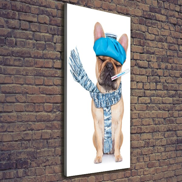 Foto leinwand vertikales Kranker Hund
