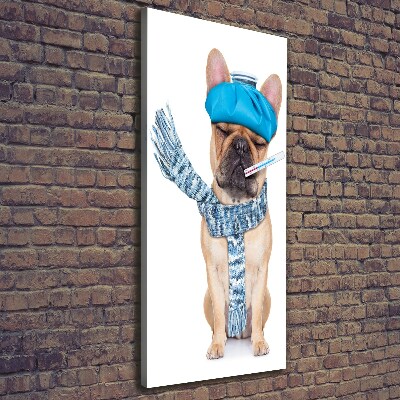 Foto leinwand vertikales Kranker Hund