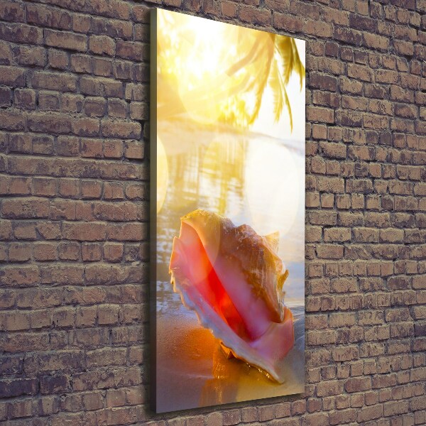 Foto leinwand vertikales Eine Muschel am Strand