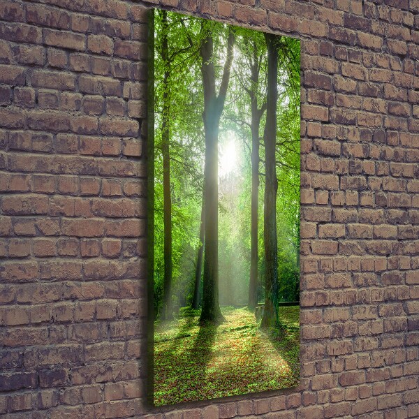Foto leinwand vertikales Die Sonne im Wald