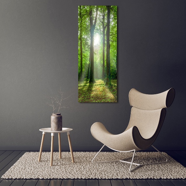 Foto leinwand vertikales Die Sonne im Wald