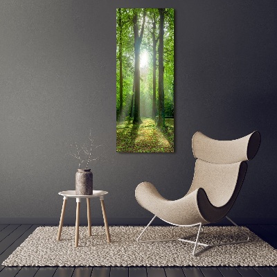 Foto leinwand vertikales Die Sonne im Wald