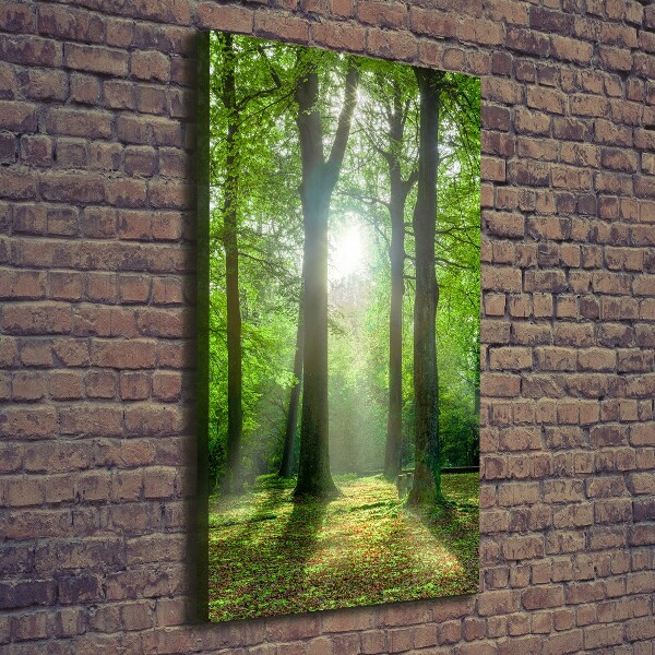 Foto leinwand vertikales Die Sonne im Wald