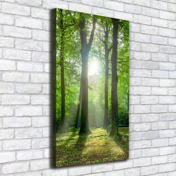 Foto leinwand vertikales Die Sonne im Wald