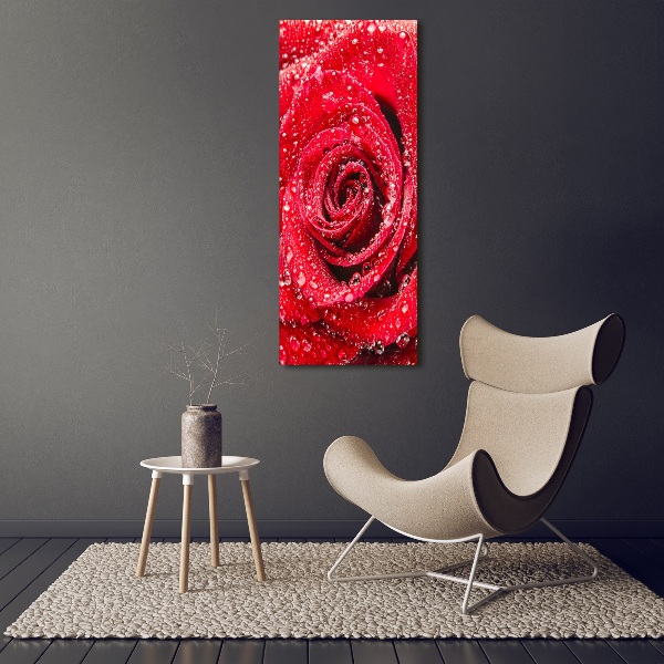 Foto auf leinwand vertikales Rote Rose