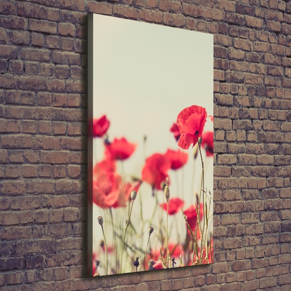 Foto auf leinwand vertikales Feldmohn
