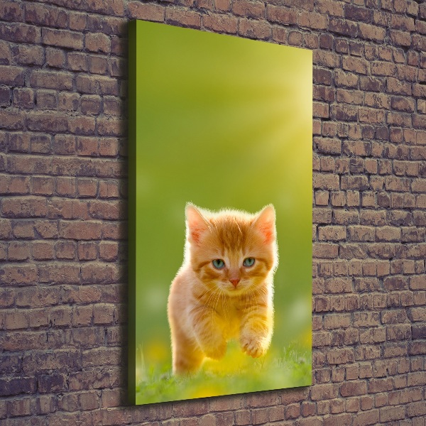 Foto leinwand vertikales Ingwerkatze