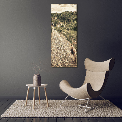 Foto auf leinwand vertikales Zwei Hunde vom Hügel