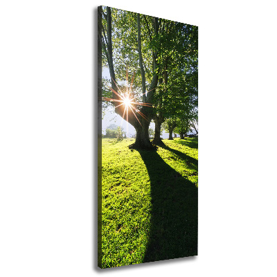 Foto auf leinwand vertikales Park