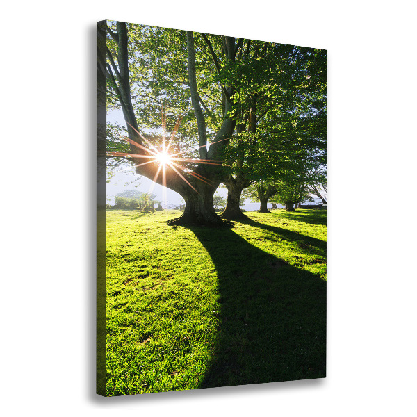 Foto auf leinwand vertikales Park