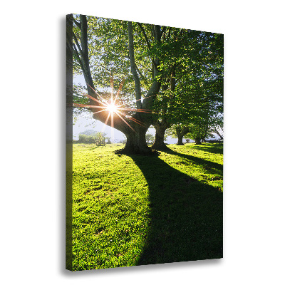 Foto auf leinwand vertikales Park