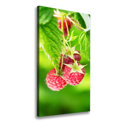 Wandbild vertikales Himbeeren am Strauch