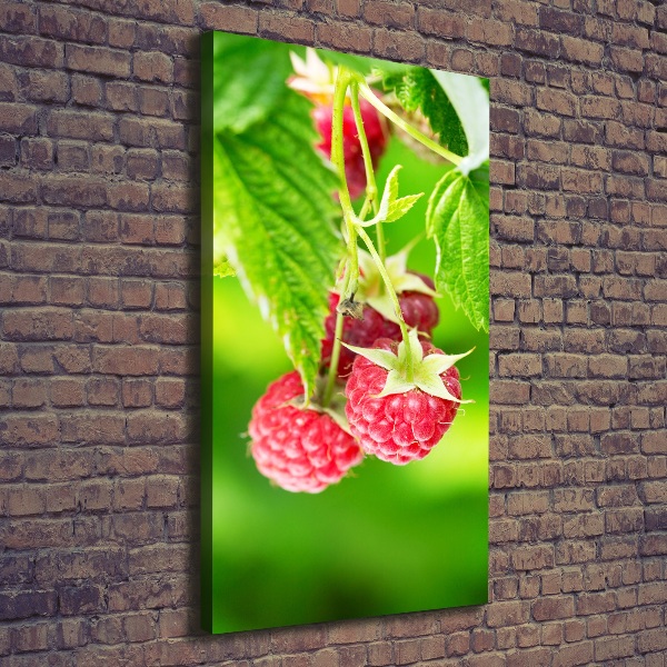 Wandbild vertikales Himbeeren am Strauch