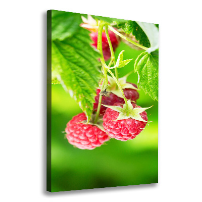 Wandbild vertikales Himbeeren am Strauch