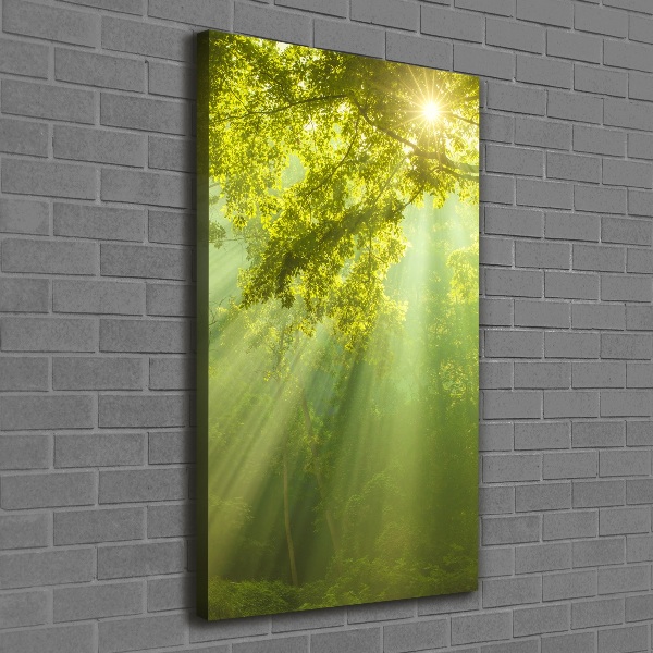 Foto auf leinwand vertikales Die Sonne im Wald