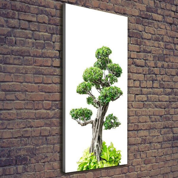 Foto leinwand vertikales Bonsai-Baum