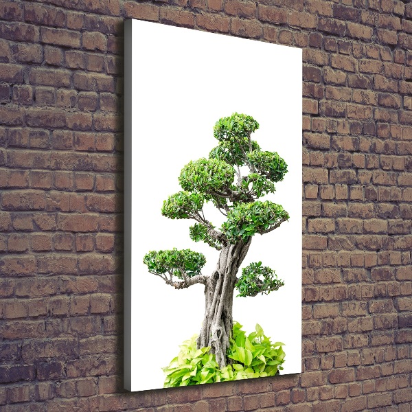 Foto leinwand vertikales Bonsai-Baum