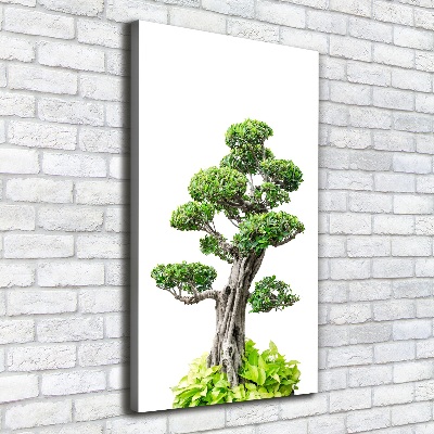Foto leinwand vertikales Bonsai-Baum
