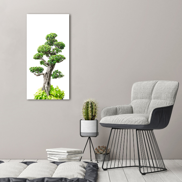 Foto leinwand vertikales Bonsai-Baum