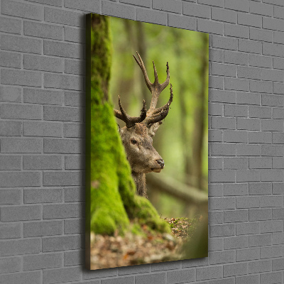 Foto auf leinwand vertikales Reh