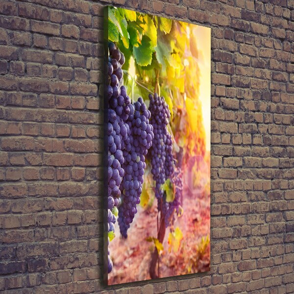 Foto leinwand vertikales Weinberg