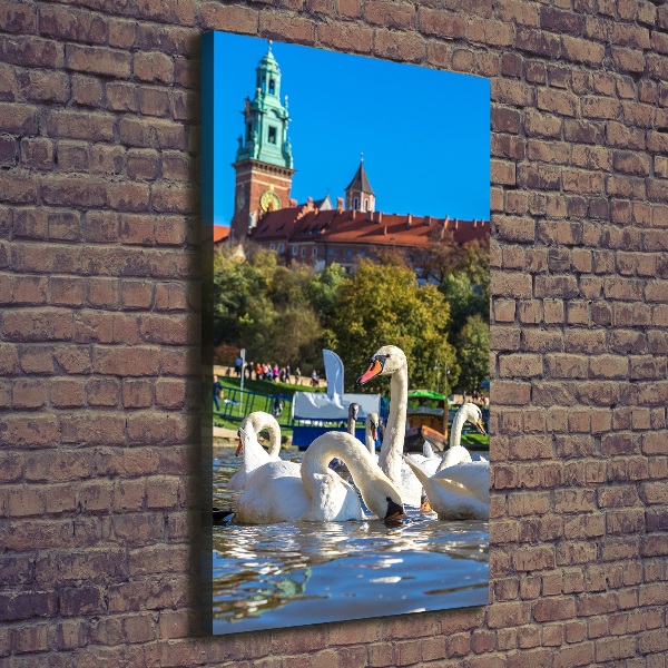 Foto auf leinwand vertikales Krakau, Polen