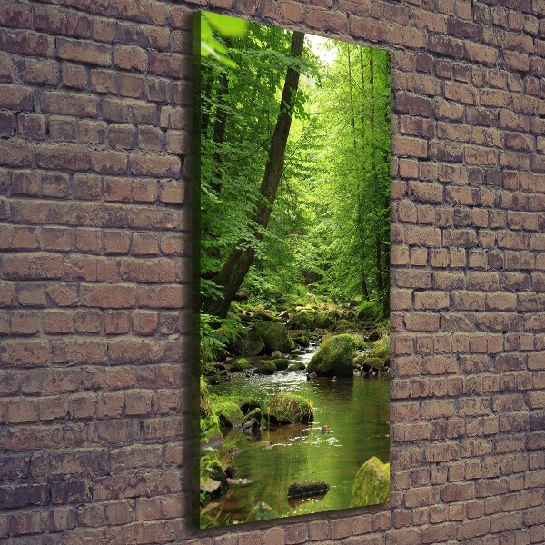 Foto auf leinwand vertikales Fluss im Wald