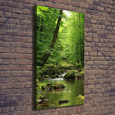 Foto auf leinwand vertikales Fluss im Wald