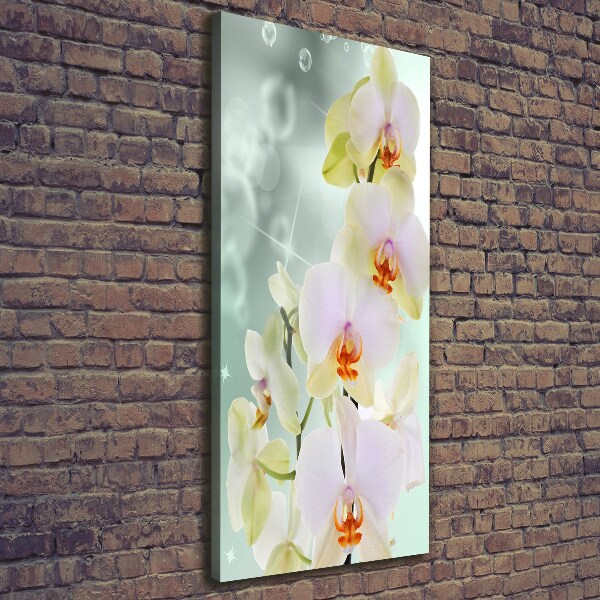 Wandbild vertikales Orchidee